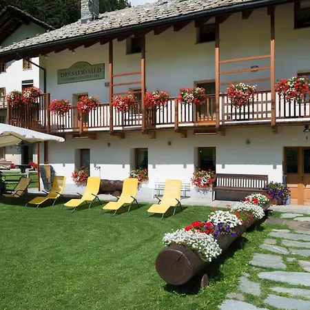 Dresalwoald Gressoney-Saint-Jean